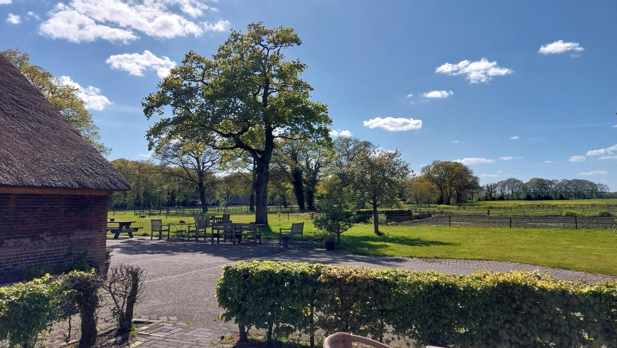 Apartmán Havelterhoeve Exteriér fotografie